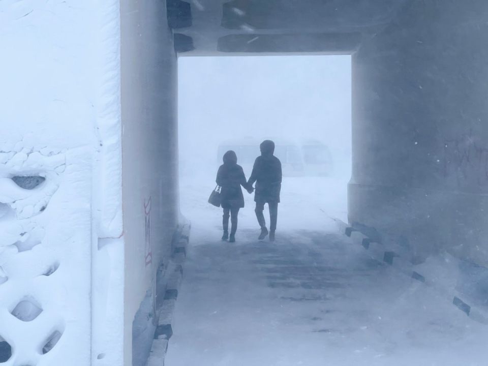 ��������! ���� ���������� ���ѻ �������� �� �������� �����