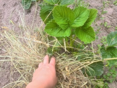 ����� ������� �������������: ������� ��� �������� ������ �������� ������