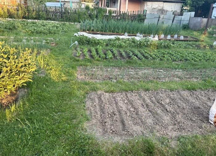 ������ � ��� �������: ��� �������� ����� ������ � ���� � �������