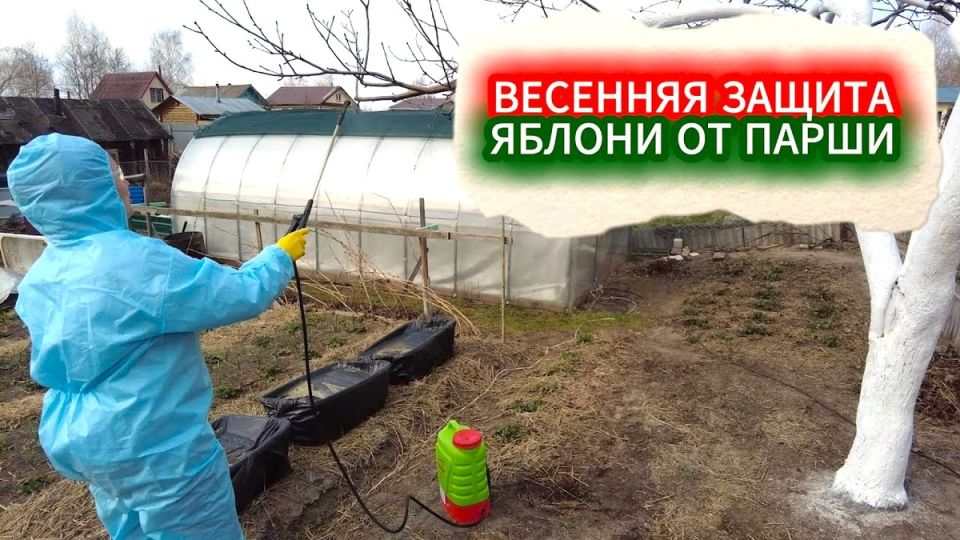 ��� �������� ������ �� ����� � �����: �������� ������ � ������������