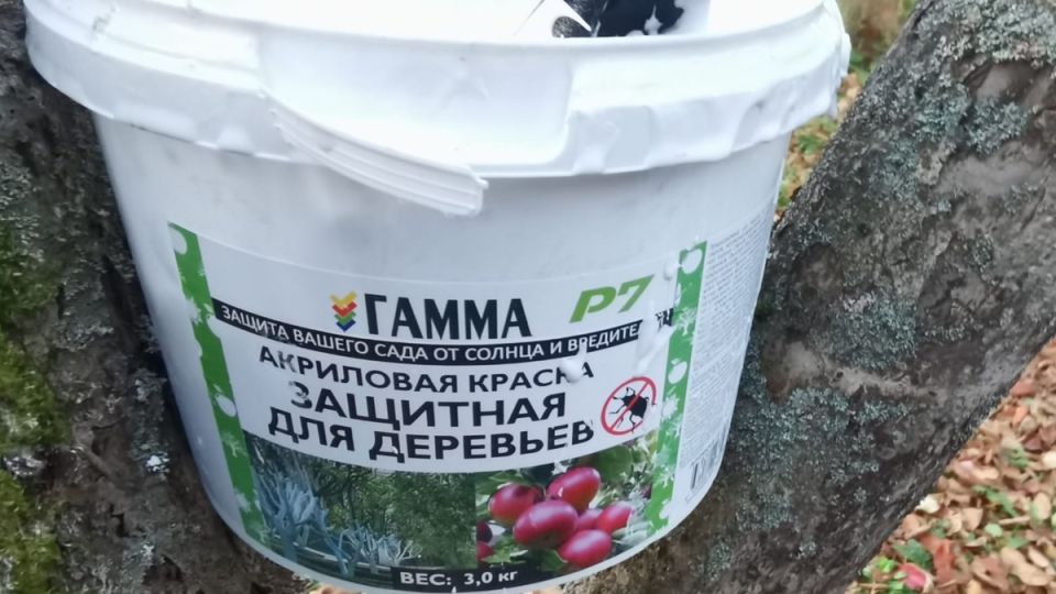 ��������������� ������� �������: ��� ���������, � ��� - ���