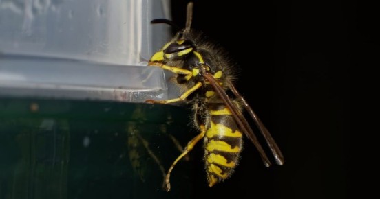 ��� ��������� ������ ��������� ��� ���������� ��