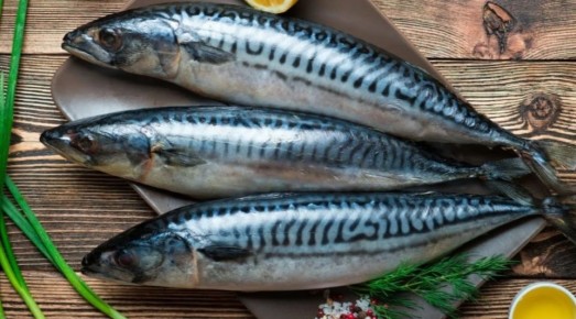 ������ � ��������� ������������ ��������: ��������� ����� ��� ������ �����