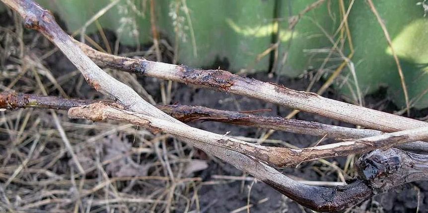 ��� � ��������� ��������� �������� �������� � ������ ���� ����� �� �������