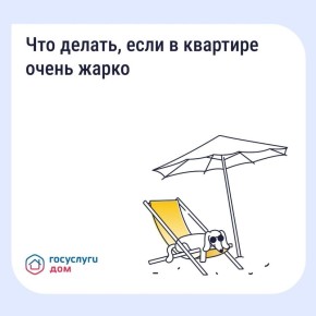 ��� ������, ���� � �������� ������ �����