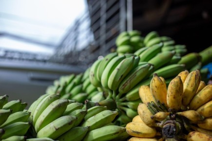 ��������� �������: ��� ������� ����� �������� ��� ��������