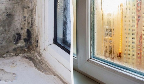Как предотвратить плесень: когда лучше открывать окна в холодное время года