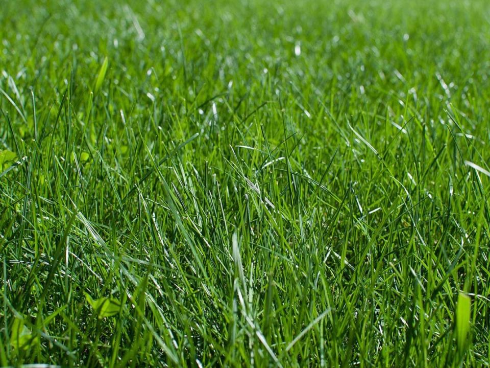 ��� ������������ ��������� �����: ���������� ������ � ������������