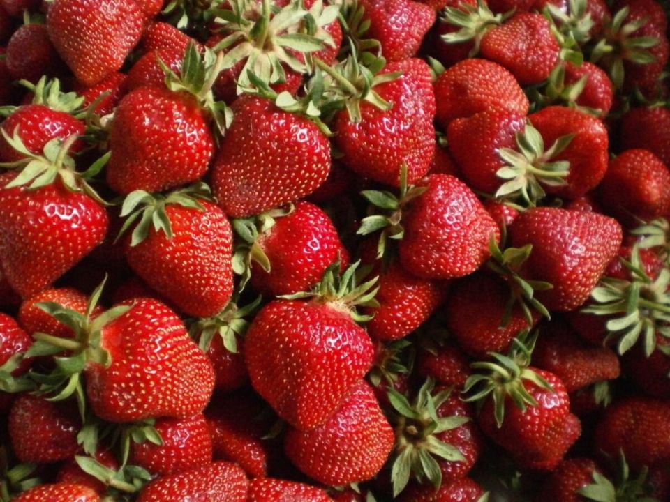 ����� ���������� ����������� �������: �������, ������� ��� ������