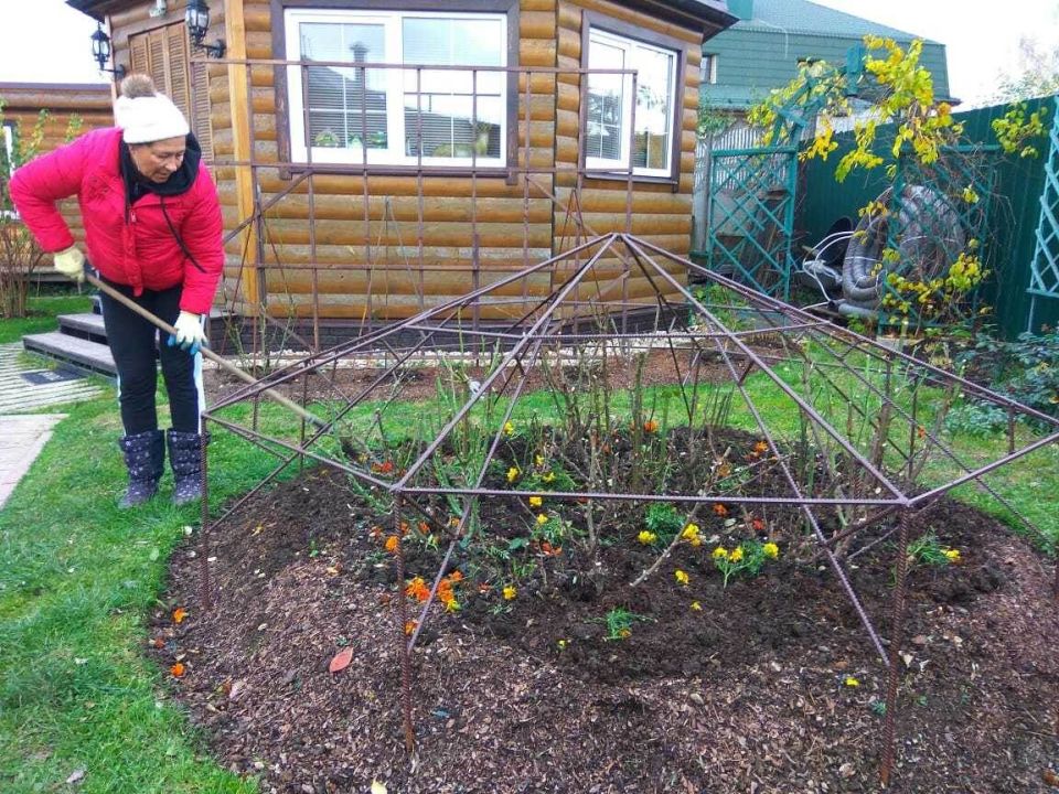 ����������� ������� ������� ��� �� ����