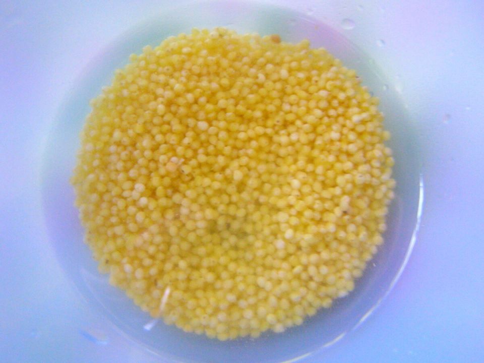 ����� ����� ������� ����: ������ ������ �� ��������� �����