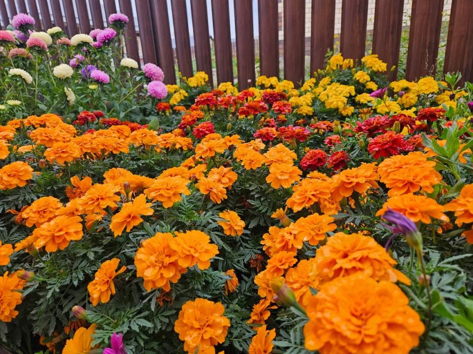 ��������� ��� ���������: 5 ������������ �������� ������������ ����