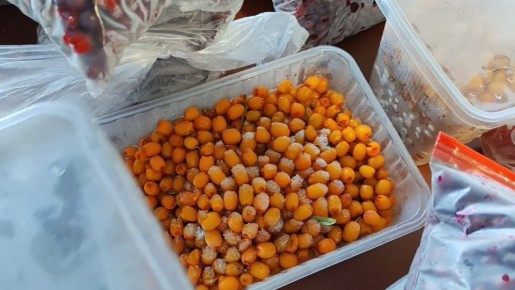 ��� ������������ ������������ ������ ����: ���������� ������� � ����� ����