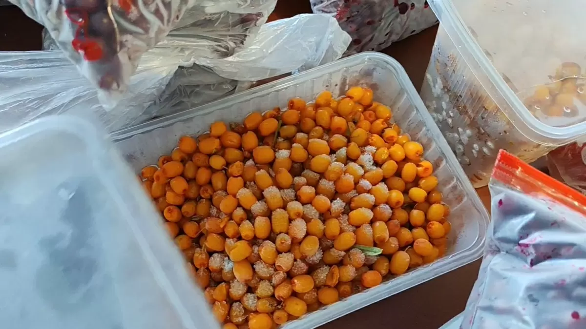 Как использовать прошлогодние запасы ягод: кулинарные находки и яркие идеи