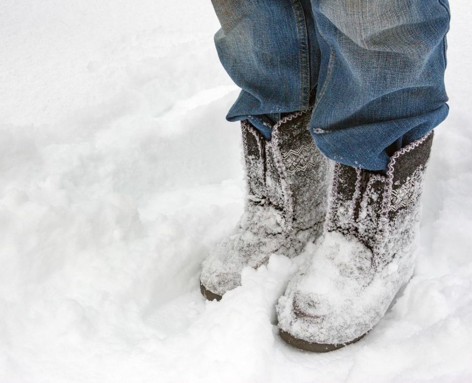 ��������� ������ ������: ����� �� ���������� ���� ������ ��������?