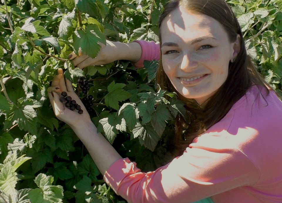 ����� �������� ����� �� ����������: ��� ����������� ����� � ������� ������