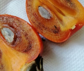 ��� ���������� �� ����� � ��������: �������� ������