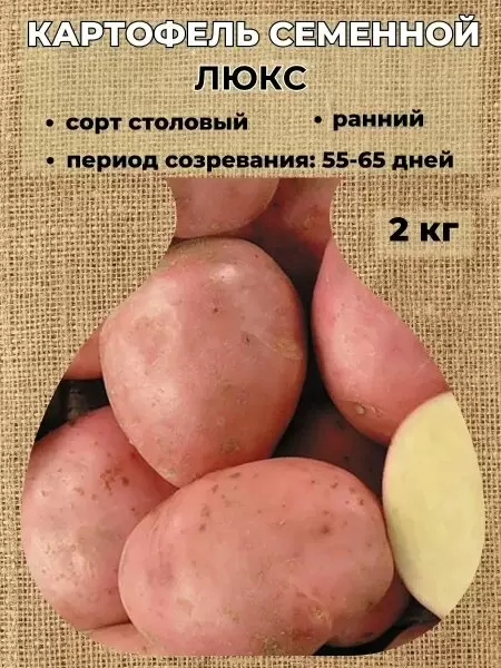 Картофель люкс: идеальный сорт для раннего урожая с насыщенным вкусом