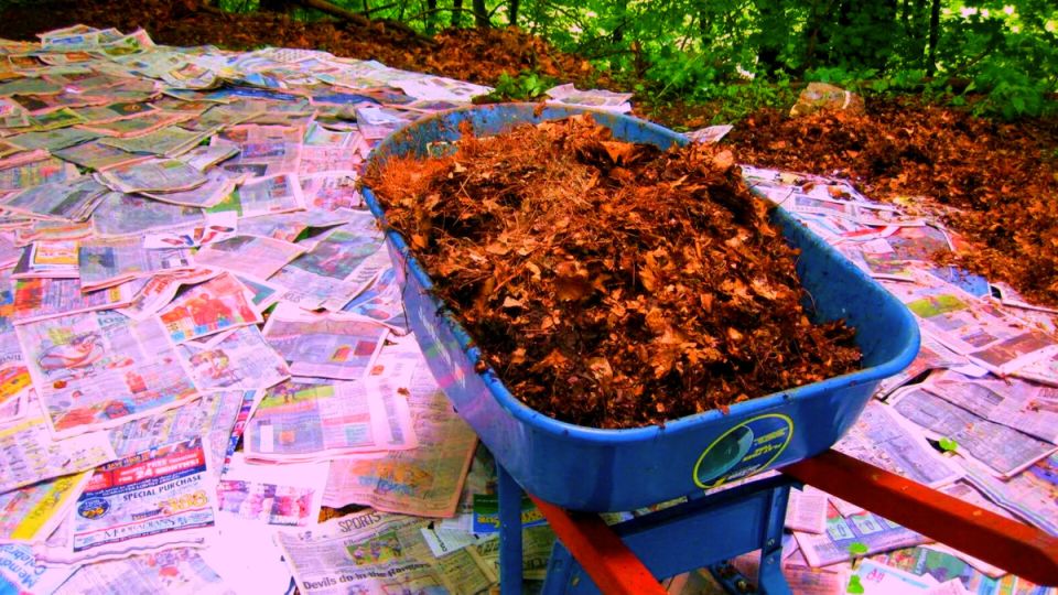 ������ ������ ������ ��������: ����������� ������ �������� ���������� �� ������������� ��������