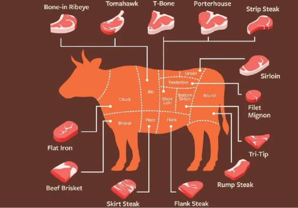 ������� � ����� �������: �� ���� ������ �� �����