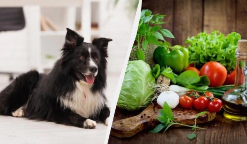 ����� � ������: ��� ����� ������, � ��� ����� ��������