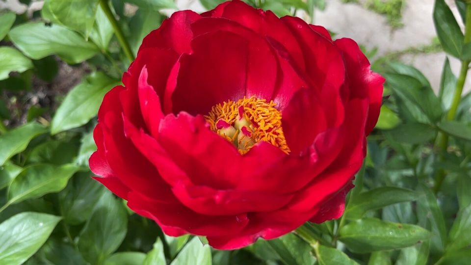 ����� ������: ����� �� ��������� ��������?