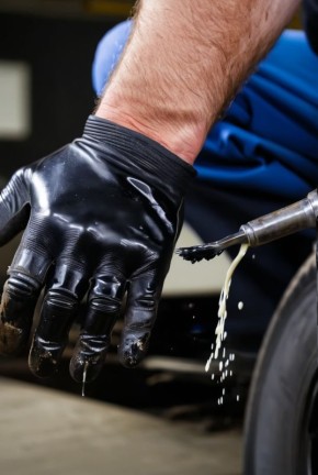 ����� ��������� ����� ��� ���: ����������� ������� ������ ������� �����������