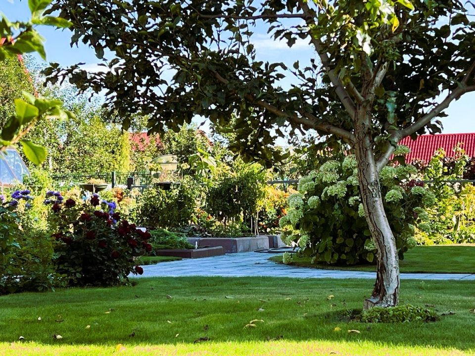 �������� ���� �� �������: �������, ������� ������� ���� ������� ���������