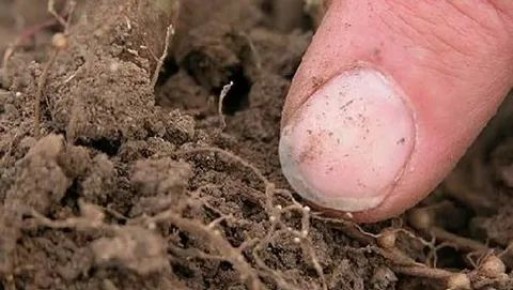 ������� ������ ������: ��� �������� �������� �� ���������, �������� � �������