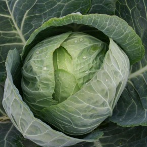 ��������� ����� �������, ������� ����� ����������� � 2025 ����