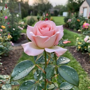 ��� ����������� ���� � ����: 7 ������ ����� ��� �������� �������� ��������