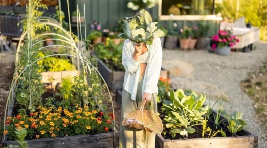 ��� ������� ��������� ������ ������������: ���� ��� ���������� ������