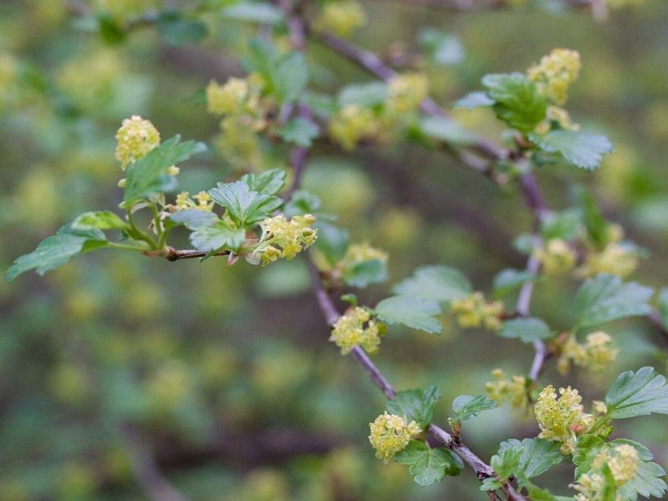 ��� ������� ��������� ���� ��������� � �������� �������� ������ ������