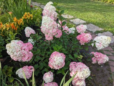 ������ � �������������: ��� �������� ���� ����� ����������