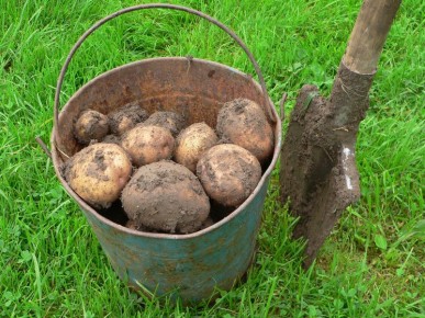 ����� ��������: ��� ����� �� ������ ������������ ��������� � ��� ��� �������� ����� ������