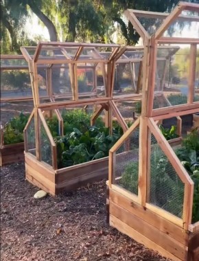 Как подготовить теплицу к осеннему сезону: советы для успешного будущего