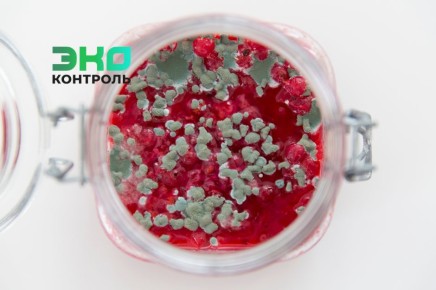 Что делать с вареньем, покрытым плесенью: советы и рекомендации