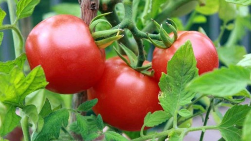 ���������� ����� �������: ��� �������� ������ � ��������� ���������� �����