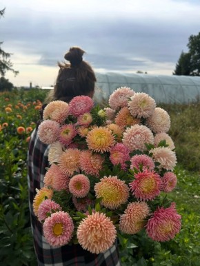 ��� ��������� ����� �� �������: �������� ������ ��� ���������