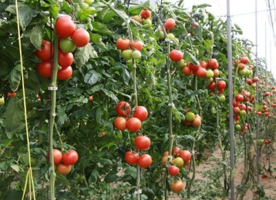 ������: ����� ����� ������� ���� ��� ������ ��� ���������� ������?