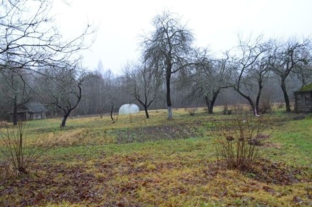 ��� ��������� ����������� �������� ������� � �������� ���������