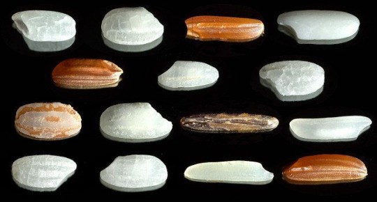 ������������ ����: �� ����� �� ���������