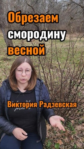 �������� �������: ��� ��������� �������� ������ ���������