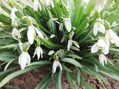 ��� ��������� �� ������������: ������� ��������� ��������