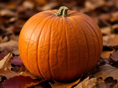 ��� ��������� ��������� ������: ������ ��� ������ �������