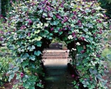 ����������� ����: ��� ������ � ��������� �� ���� ����������� ���������