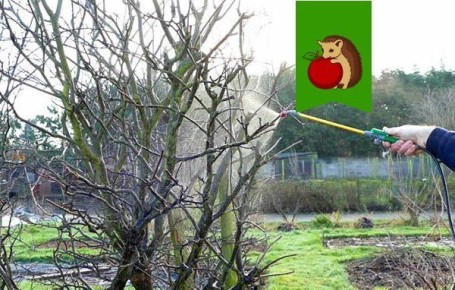 ��� ������ �������� ��� �� ���������� � �������?