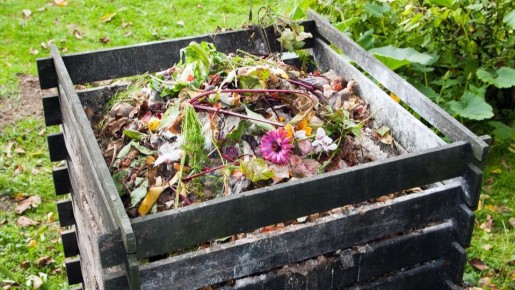 ��� ����������� ������� ������� �����: ������� ������������ ������������