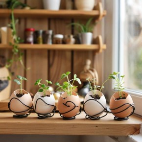 ��� ���������� ������ �������� � ������ ����-������ �� �����������