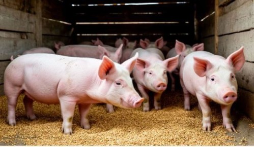 � 27 ������ ��������� ����� ������ �� �������� ��� �������� �������!